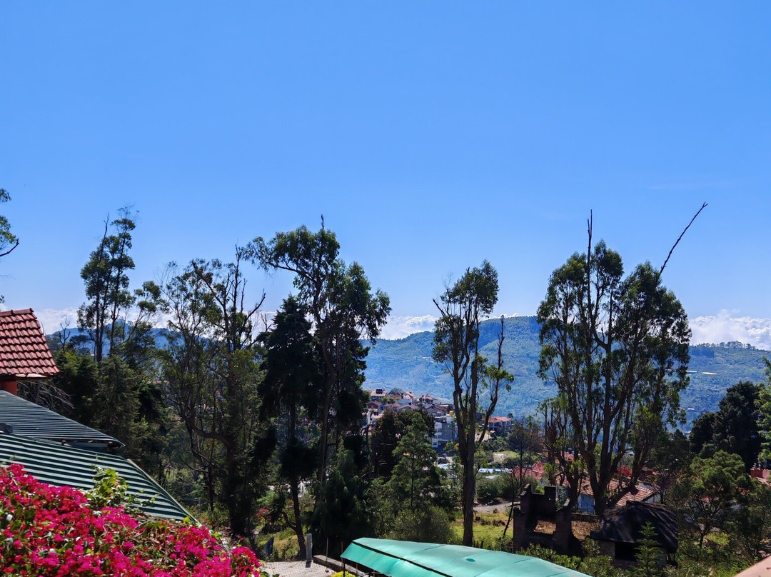 Kodai Sunshine Hotel主图