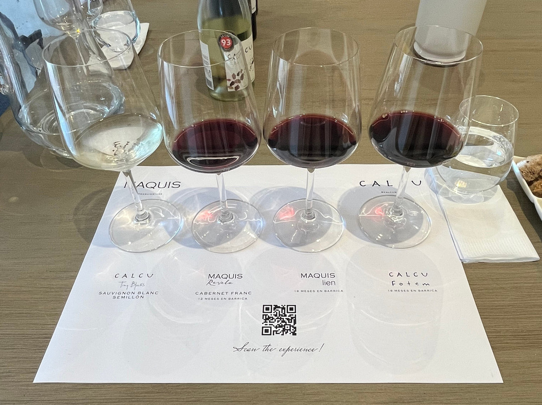 Vina Maquis景点图片