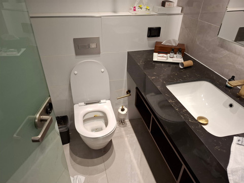 耶路撒冷温德姆华美达酒店主图