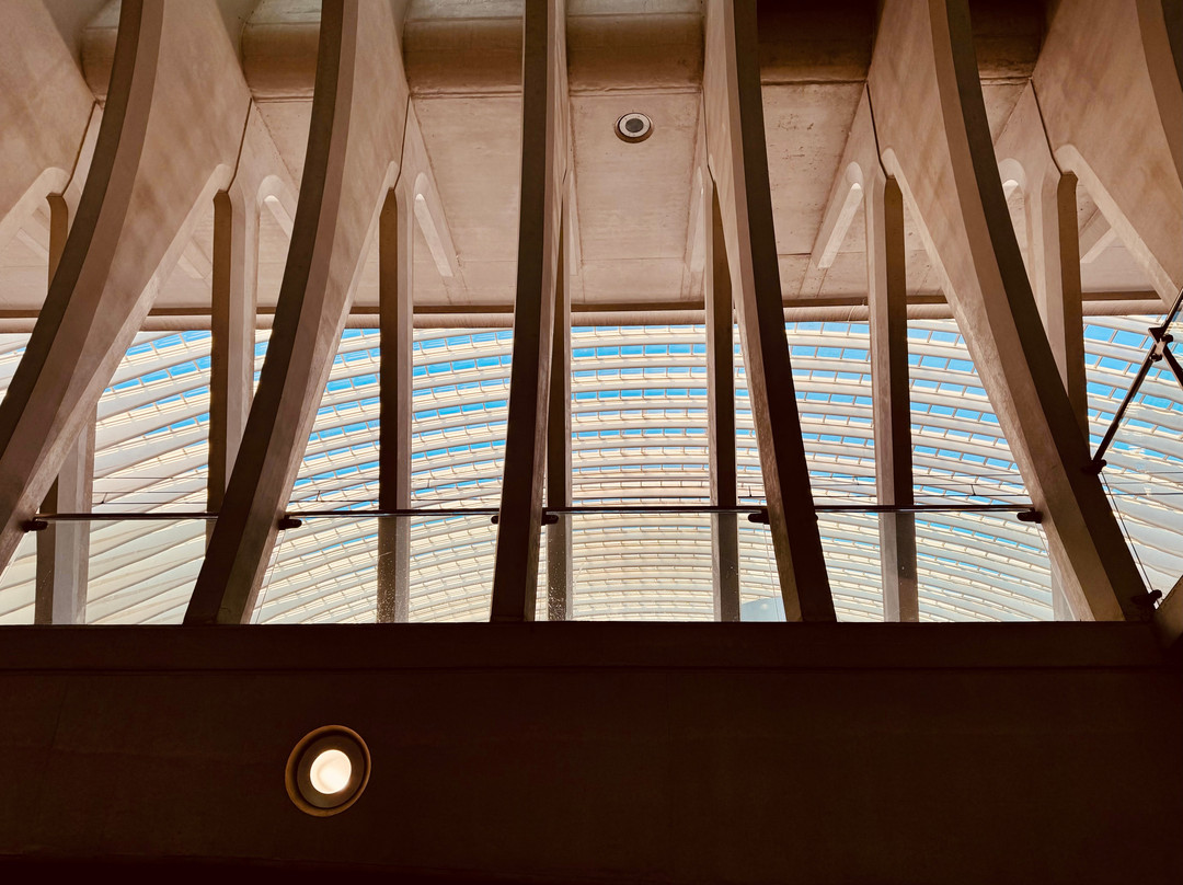Gare de Liege-Guillemins景点图片
