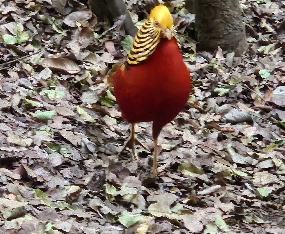 Parque Tricao-Santo Domingo必去景点