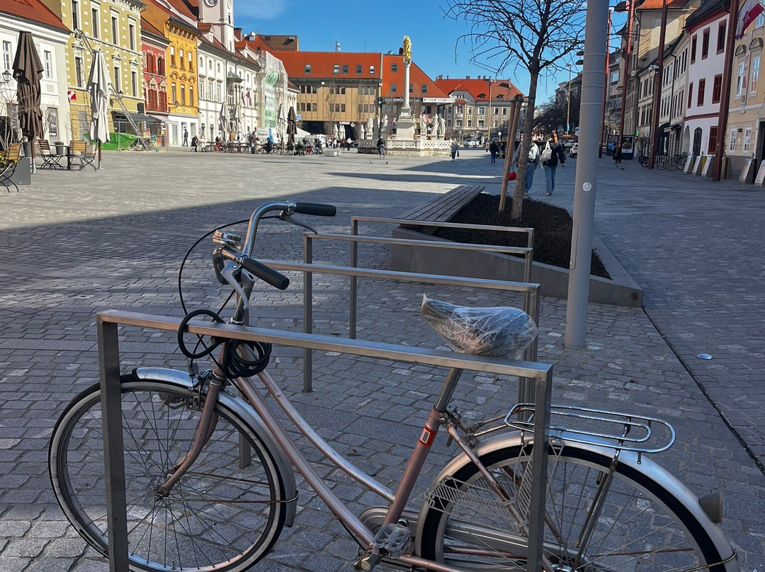Main Square of Maribor-马里博尔必去景点