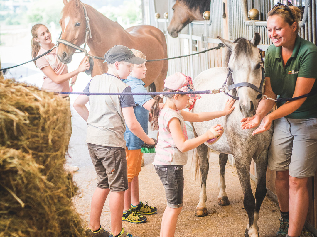 Familotel Landgut Furtherwirt主图