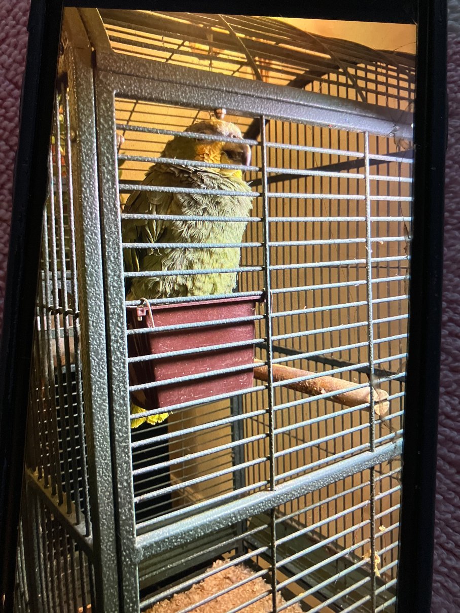 Grand Palace Hotel - Small Luxury Hotels of the World-浴室