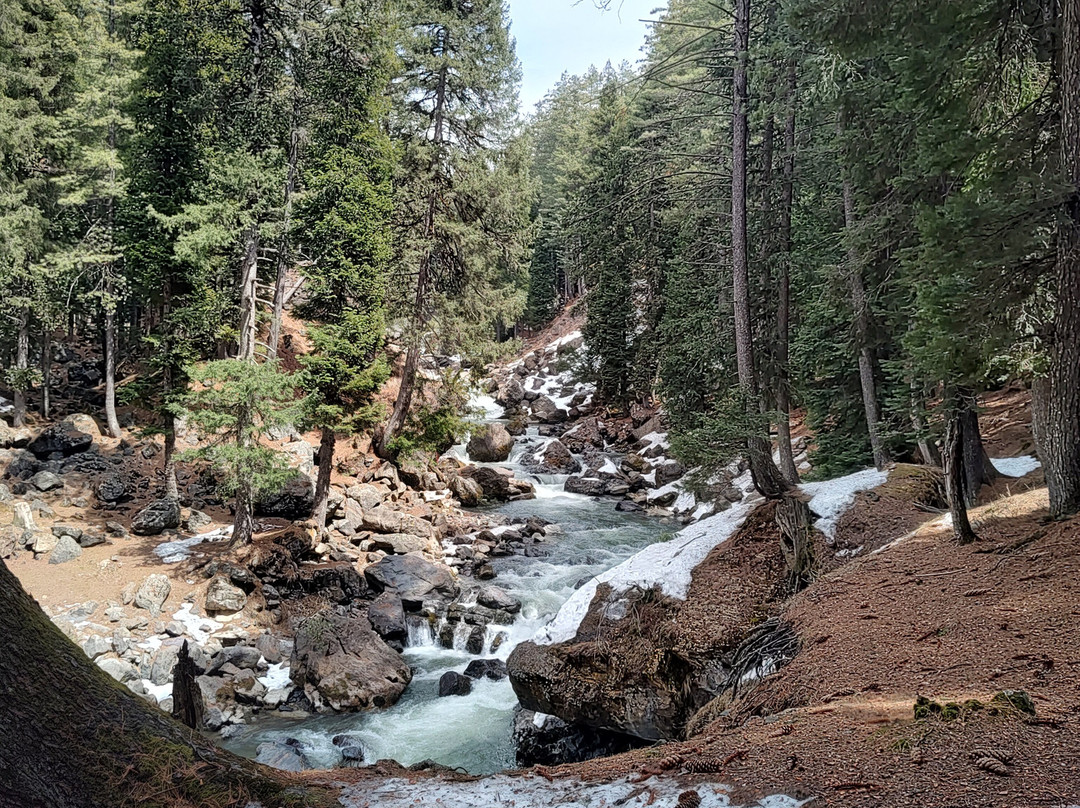 The Woodswalk Treks And Tours-帕哈甘必去景点