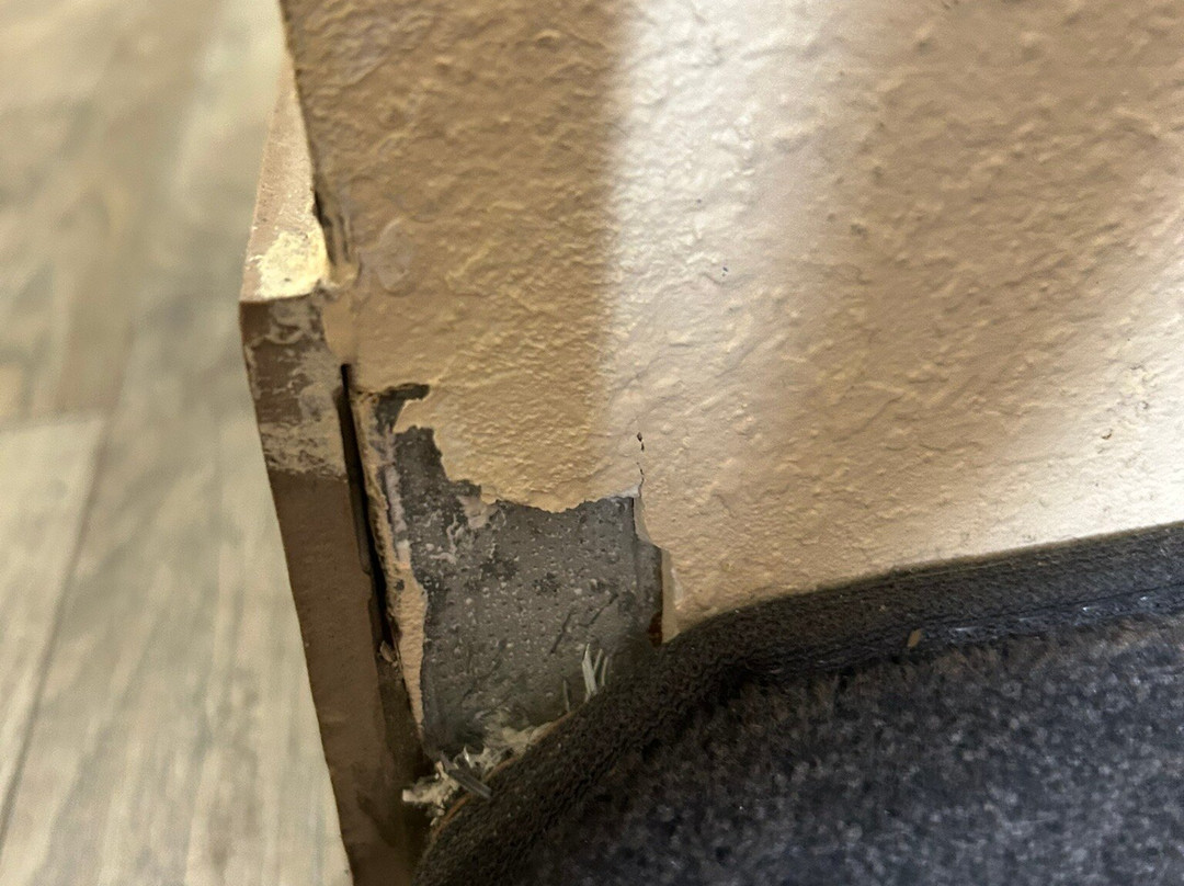 Best Western Plus Huntersville Inn & Suites Near Lake Norman主图