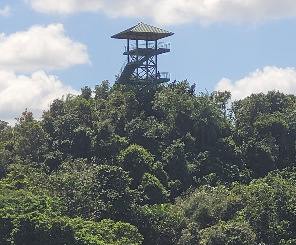 La Marquesa Forest Park景点图片
