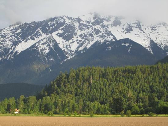 The Farmhouse Bed and Breakfast主图