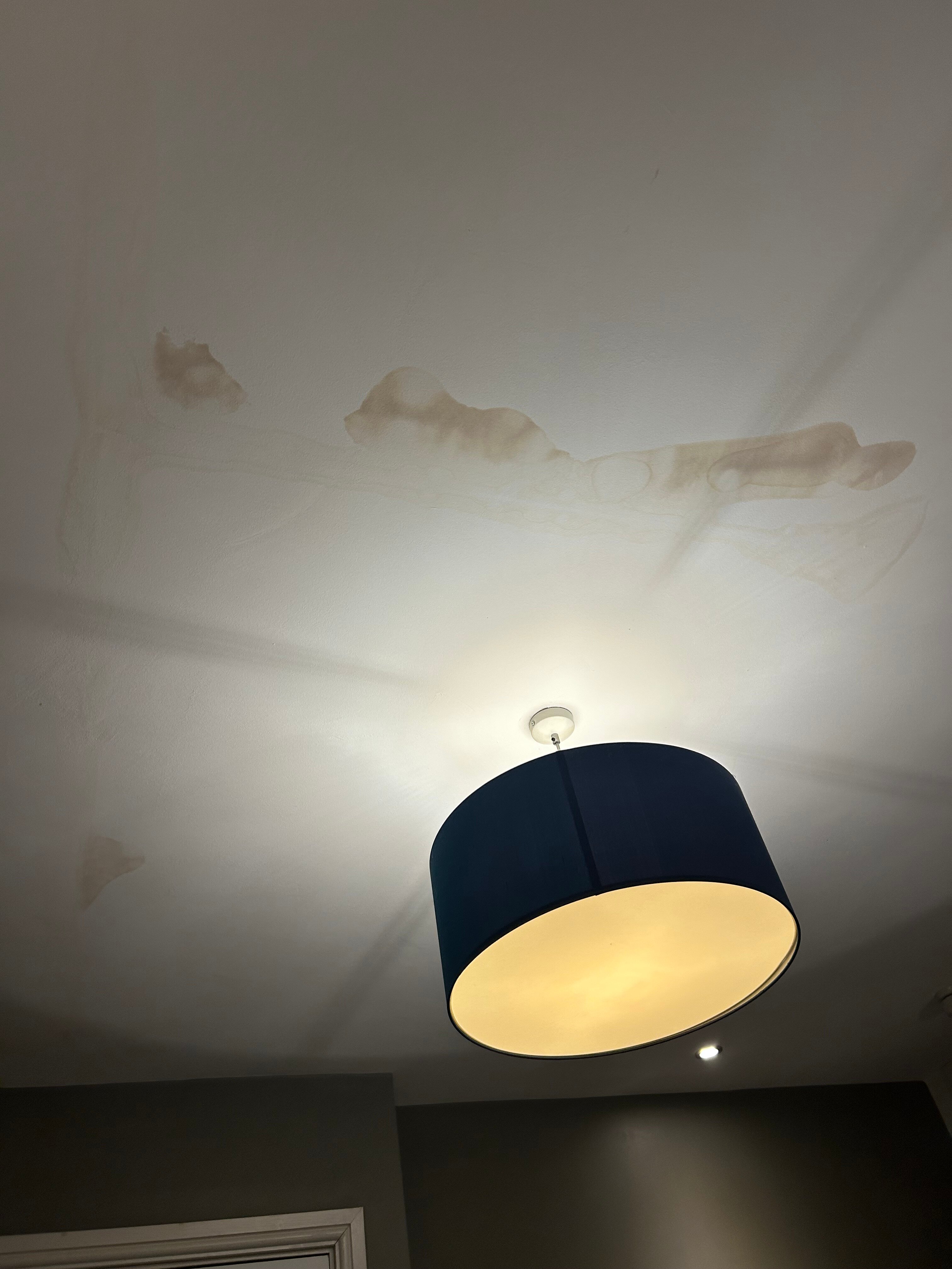 The Bell Hotel-官方