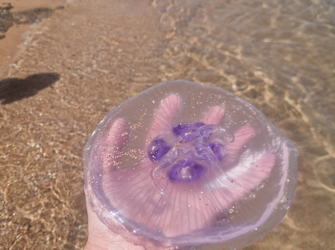 Egypt International-赫尔格达必去景点