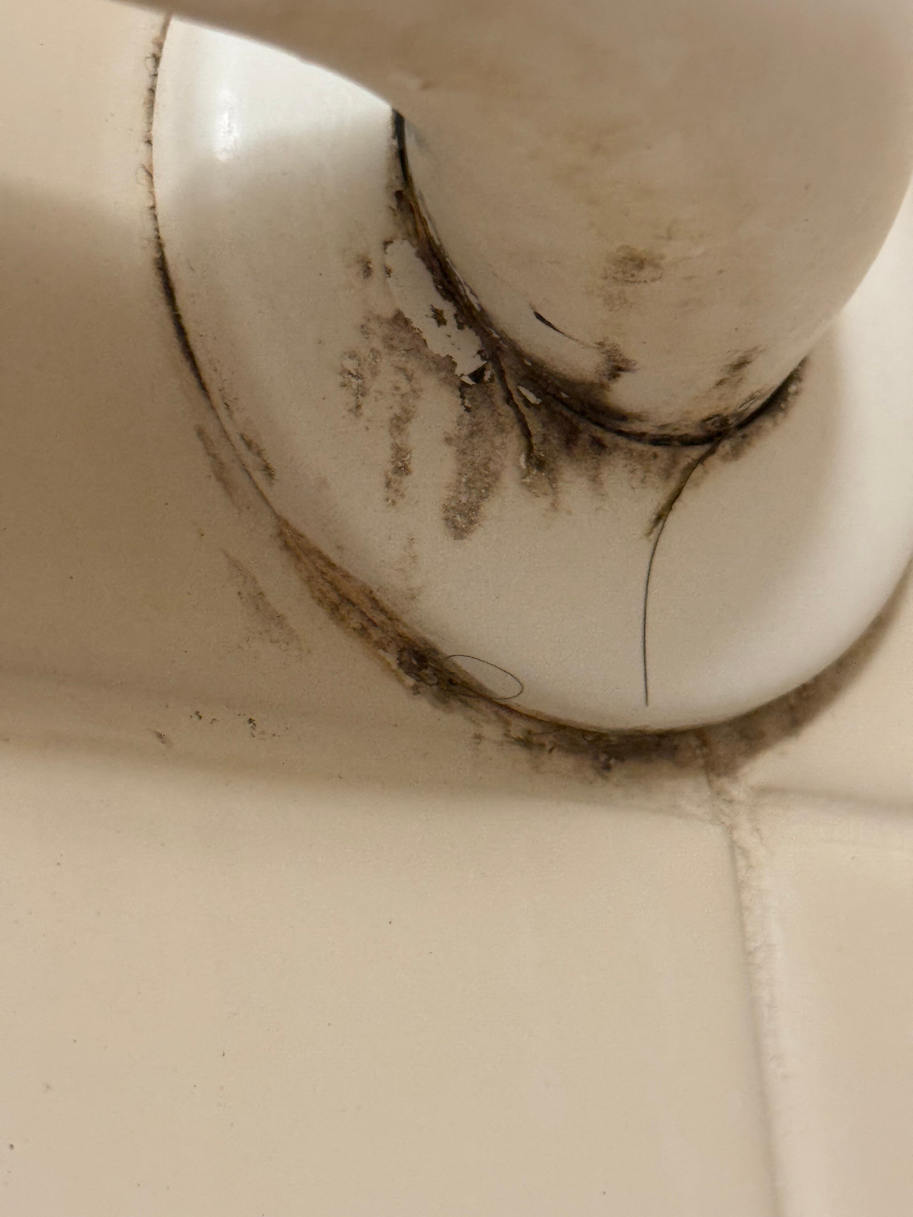 底特律南菲尔德万怡酒店-浴室