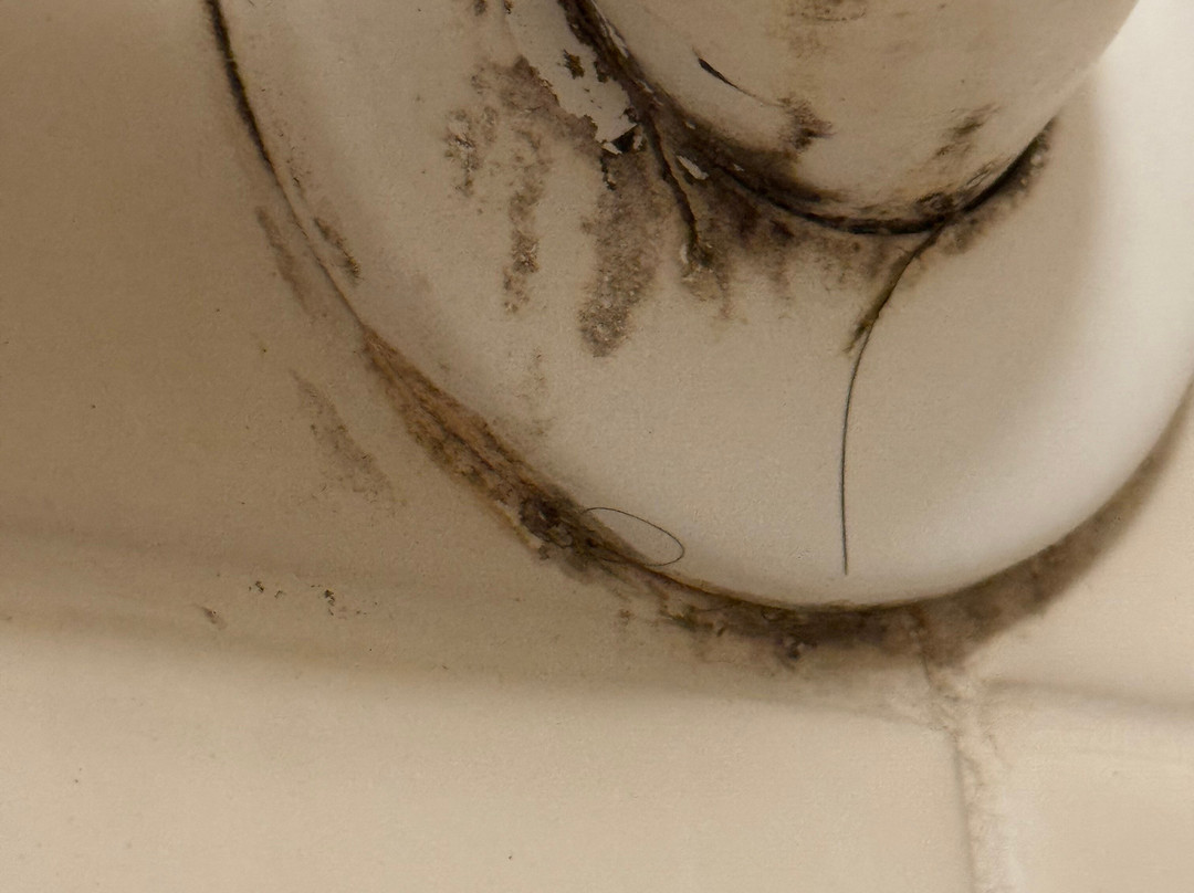 底特律南菲尔德万怡酒店主图