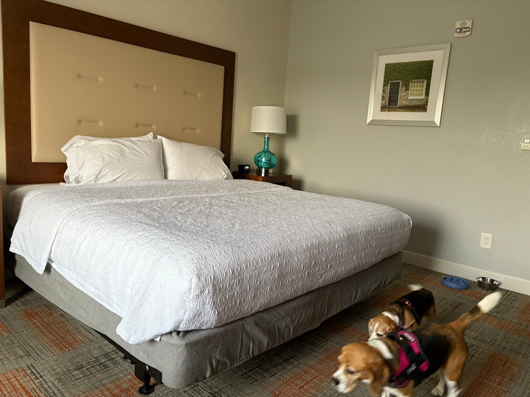 Hampton Inn Summerville主图