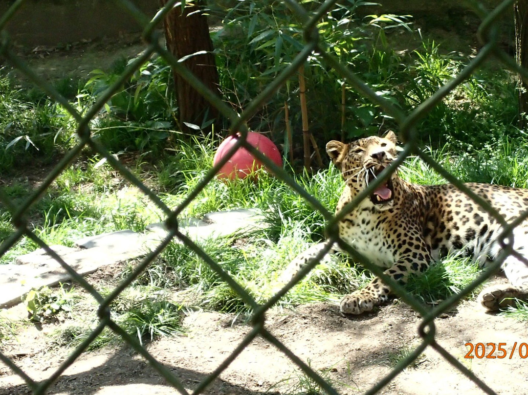 Zoo Brno-布尔诺必去景点
