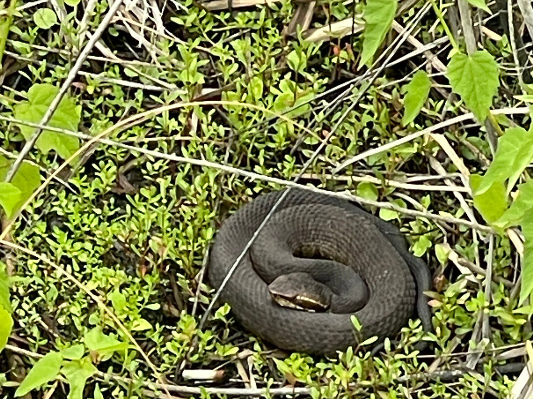 Gulf State Park-格尔夫海岸必去景点