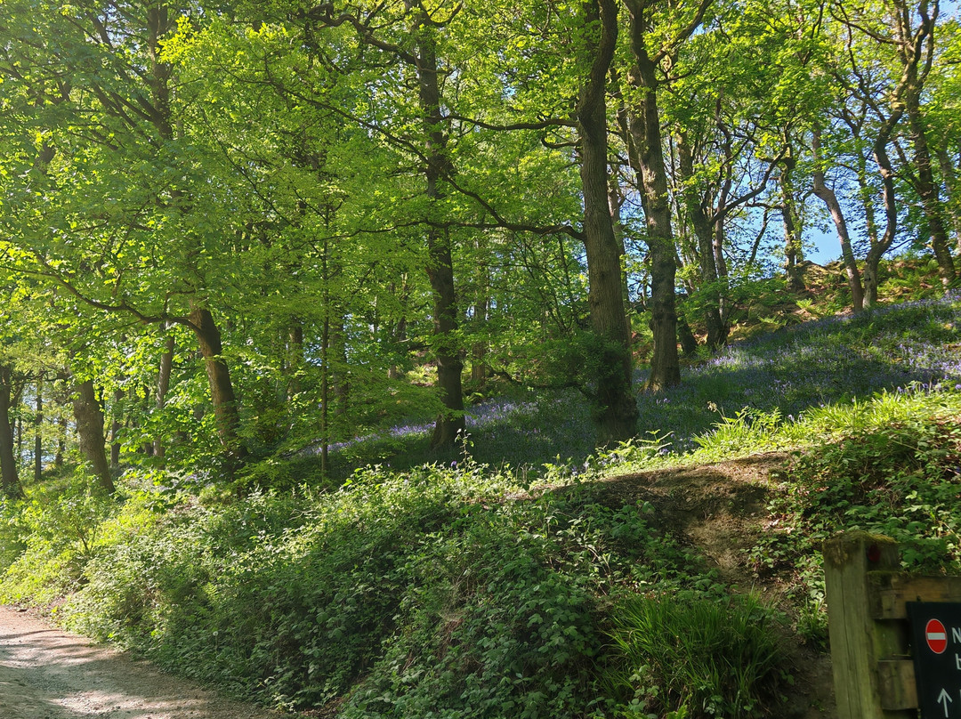 Hardcastle Crags-Hebden Bridge必去景点