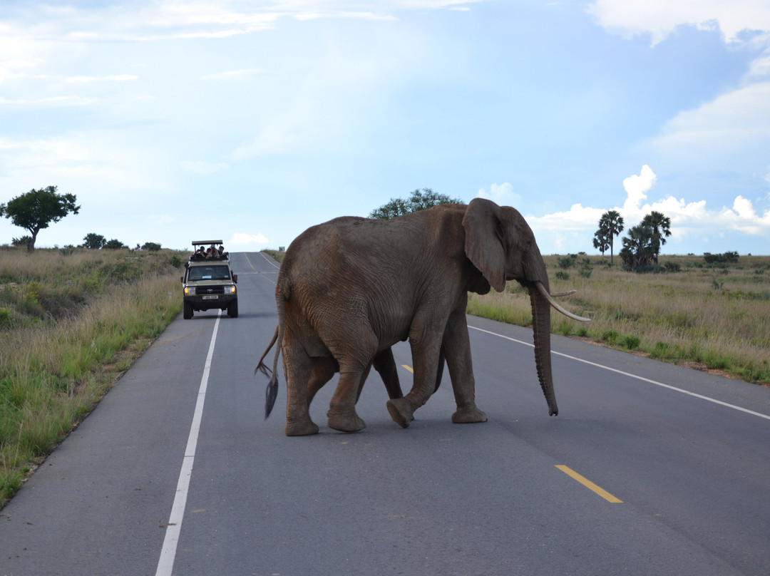 Eshande Safaris Tours & Travel-马辛迪必去景点