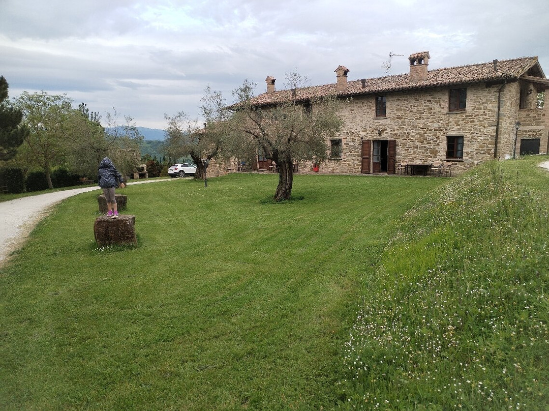 Tenuta di Biscina主图