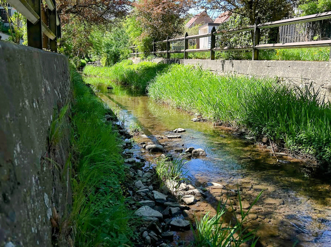 Skulpturenweg-Pfinztal必去景点