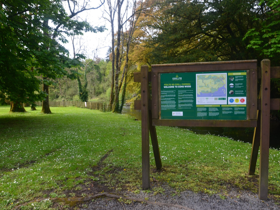 Clonbur/Cong Trail-康镇必去景点