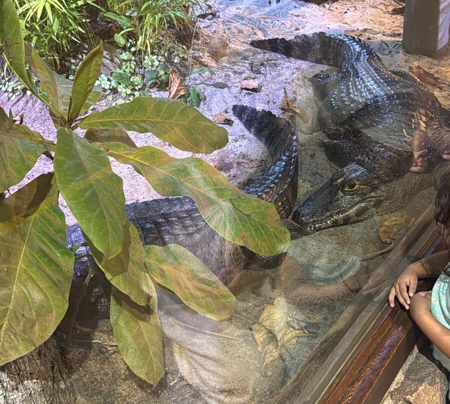 Pousada Viva Mar主图