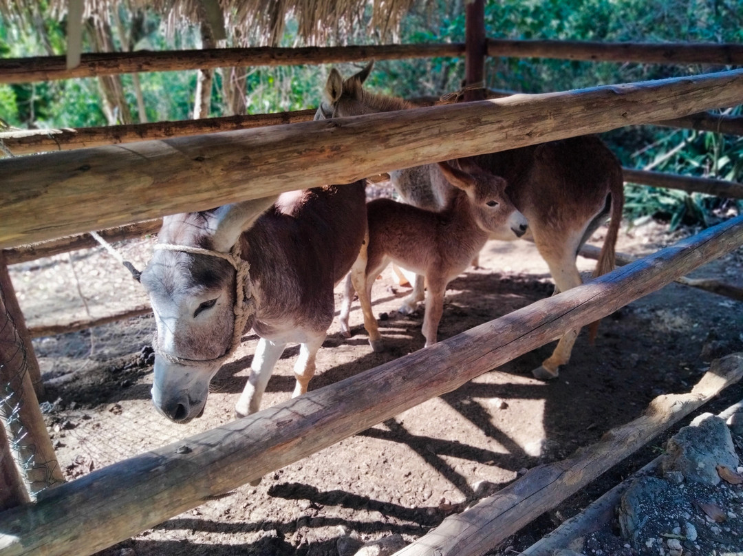 Hotel Mirador De Mayabe主图