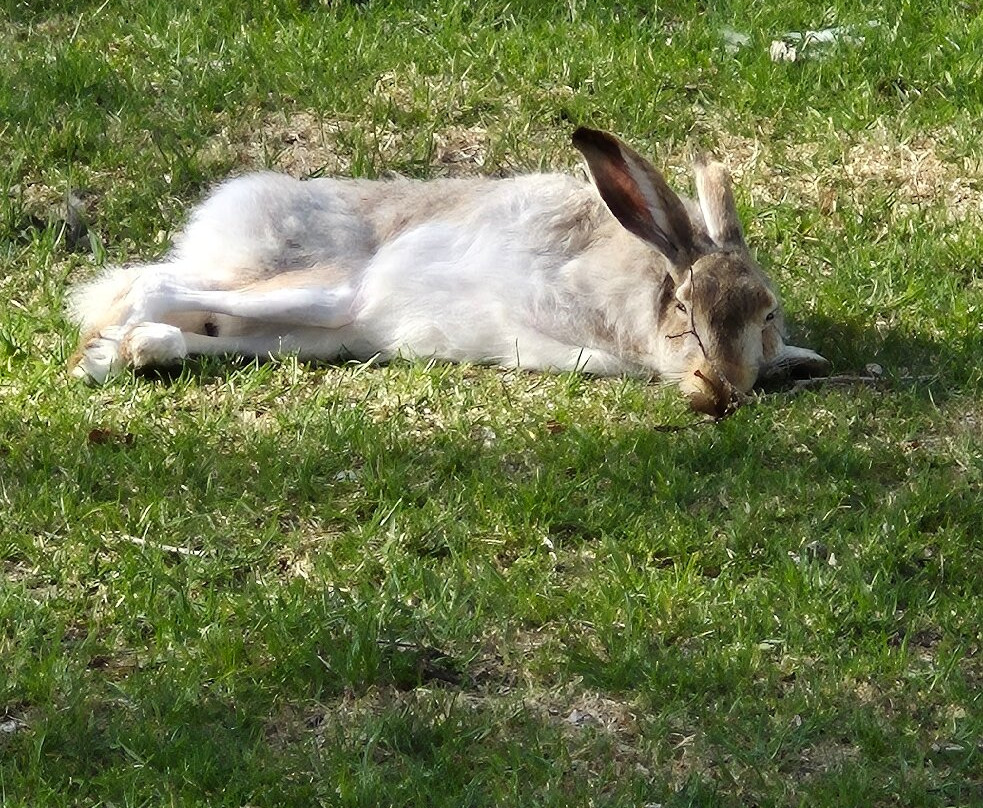 Wascana Centre Park-里贾纳必去景点