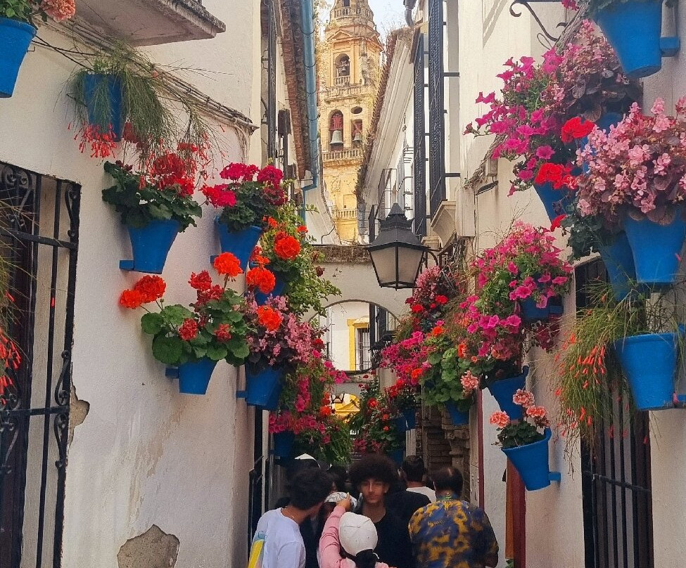 Your Andalucia-Puente Genil必去景点