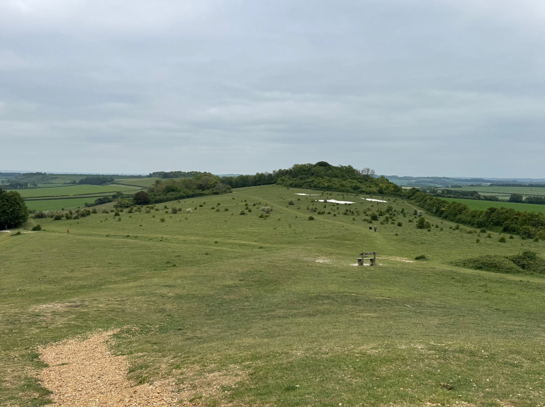 Danebury Iron Age Hill Fort-Nether Wallop必去景点