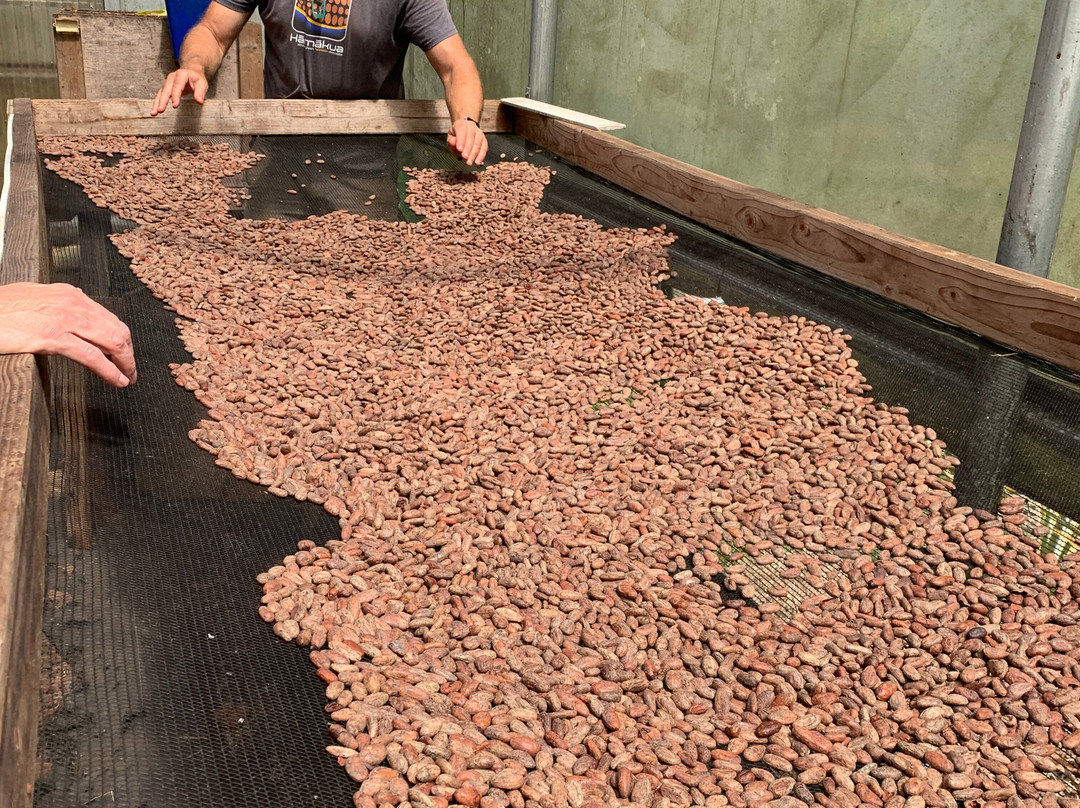 Hamakua Chocolate Farm景点图片