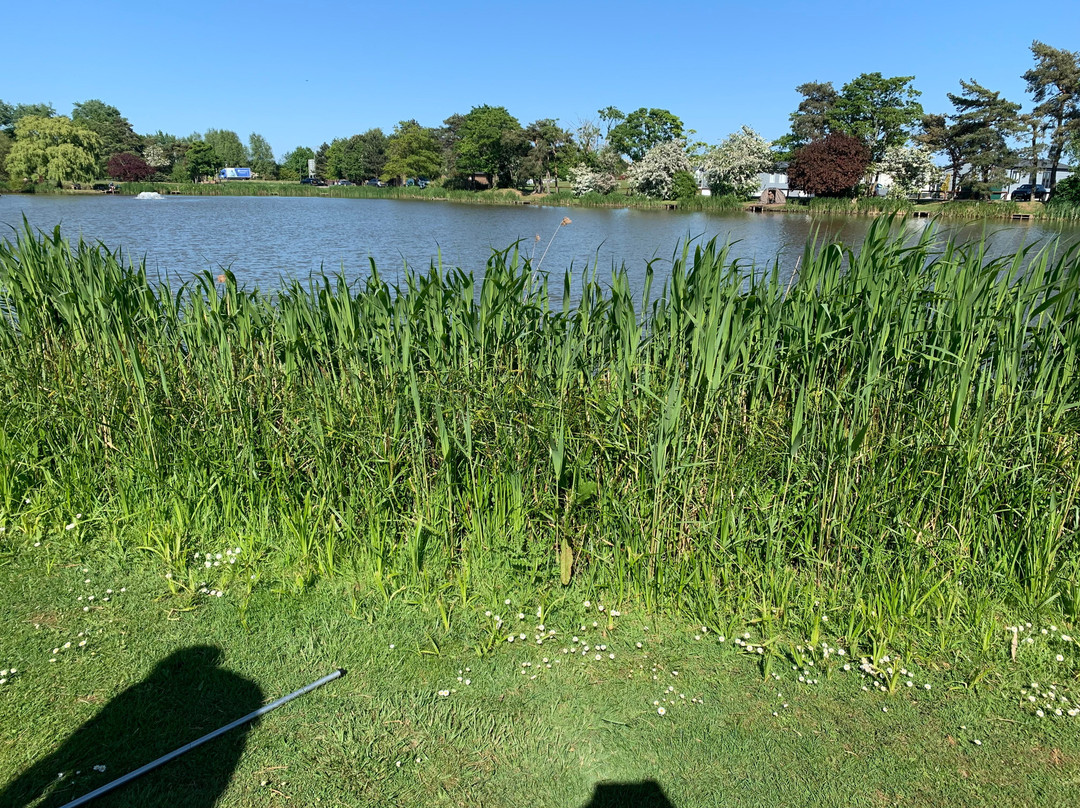 Sycamore Lakes