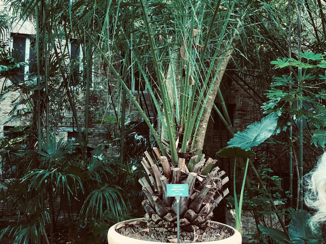 Orto Botanico Dell'Università di Urbino Carlo Bo-乌尔比诺必去景点