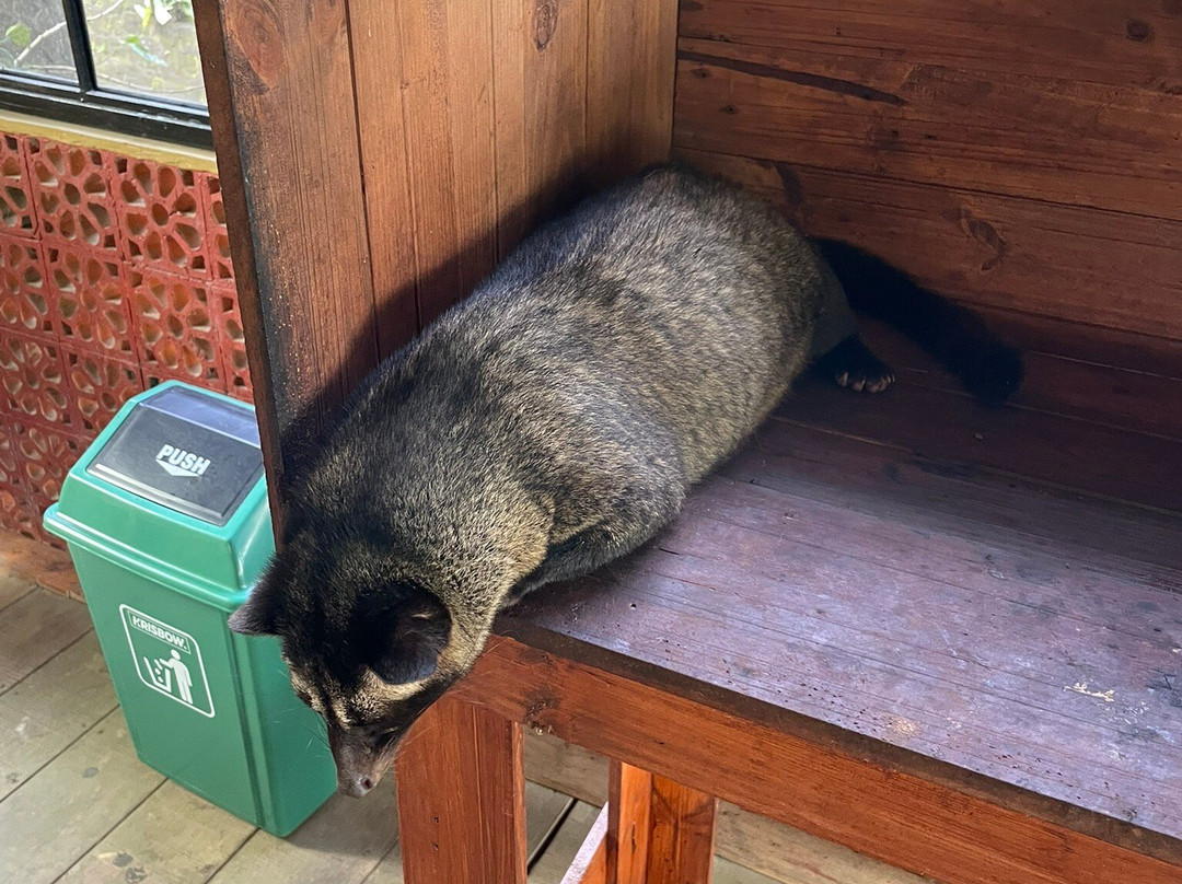 Hidden Garden Agriculture-达巴南必去景点
