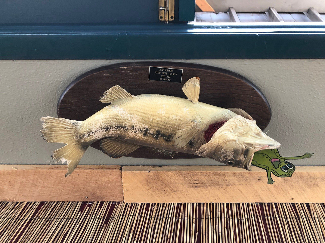 Pikes Peak Pickle Shack-Cascade必去景点