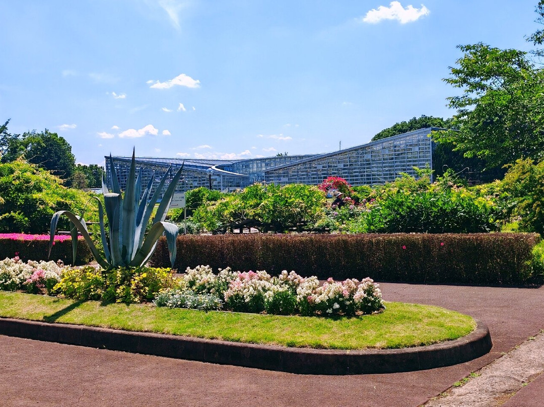 Jindai Botanical Park-调布市必去景点
