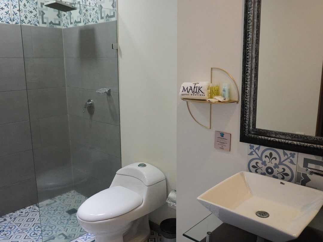 Malik Hotel Boutique主图