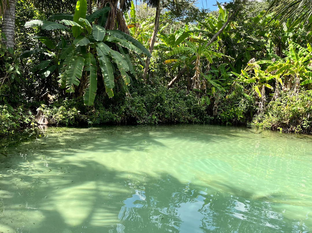 Fervedouro Do Alecrim-Sao Felix do Tocantins必去景点
