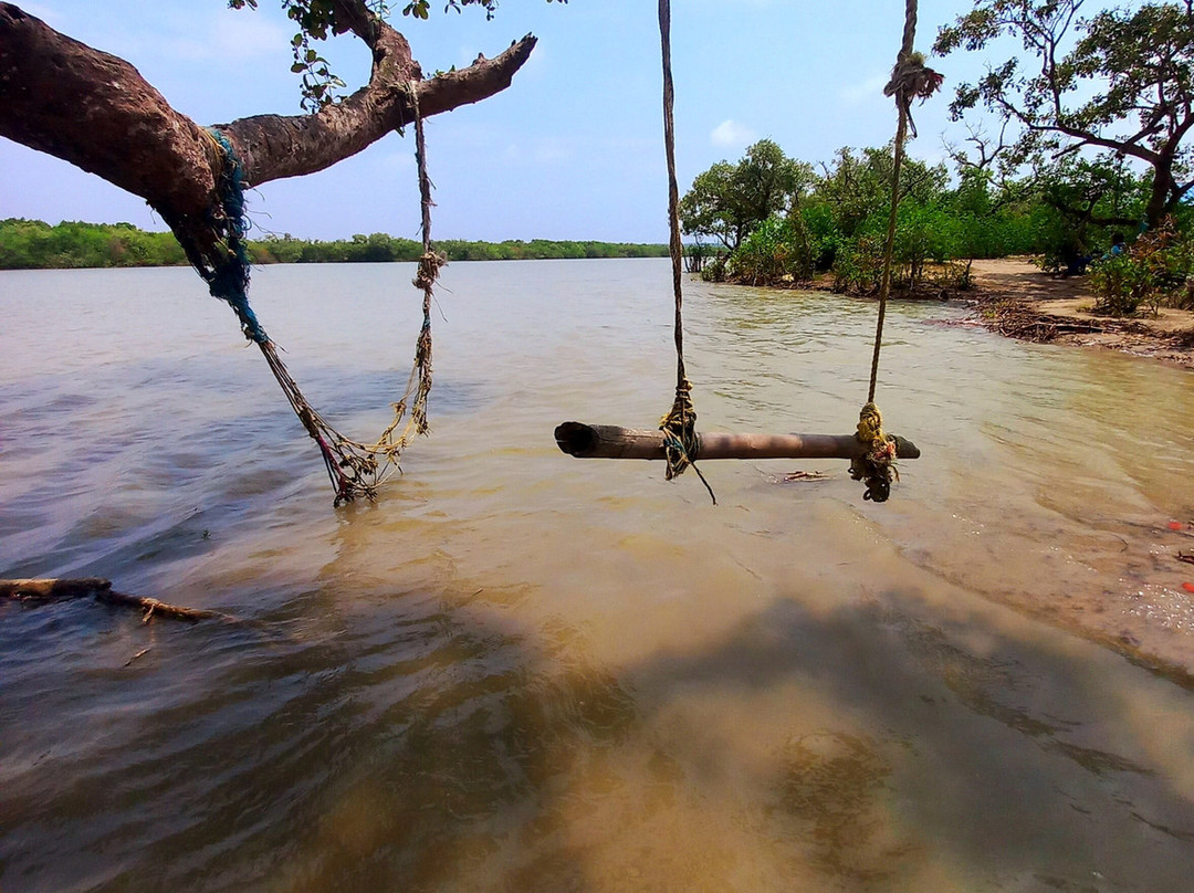Bichitrapur Mangrove Reserve景点图片