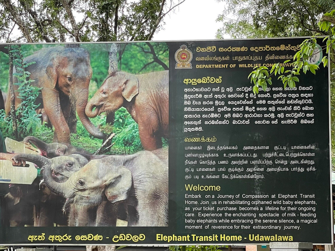 Elephant Transit Home (ETH)景点图片