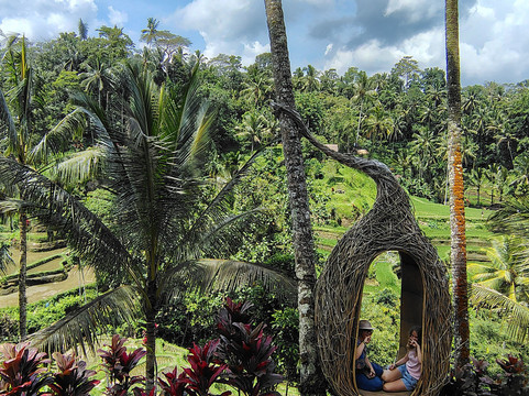 Mr. Bedu's Tours-乌布必去景点