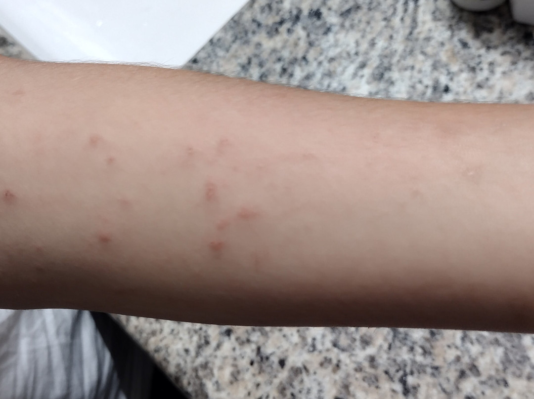 Best Western Executive Inn主图