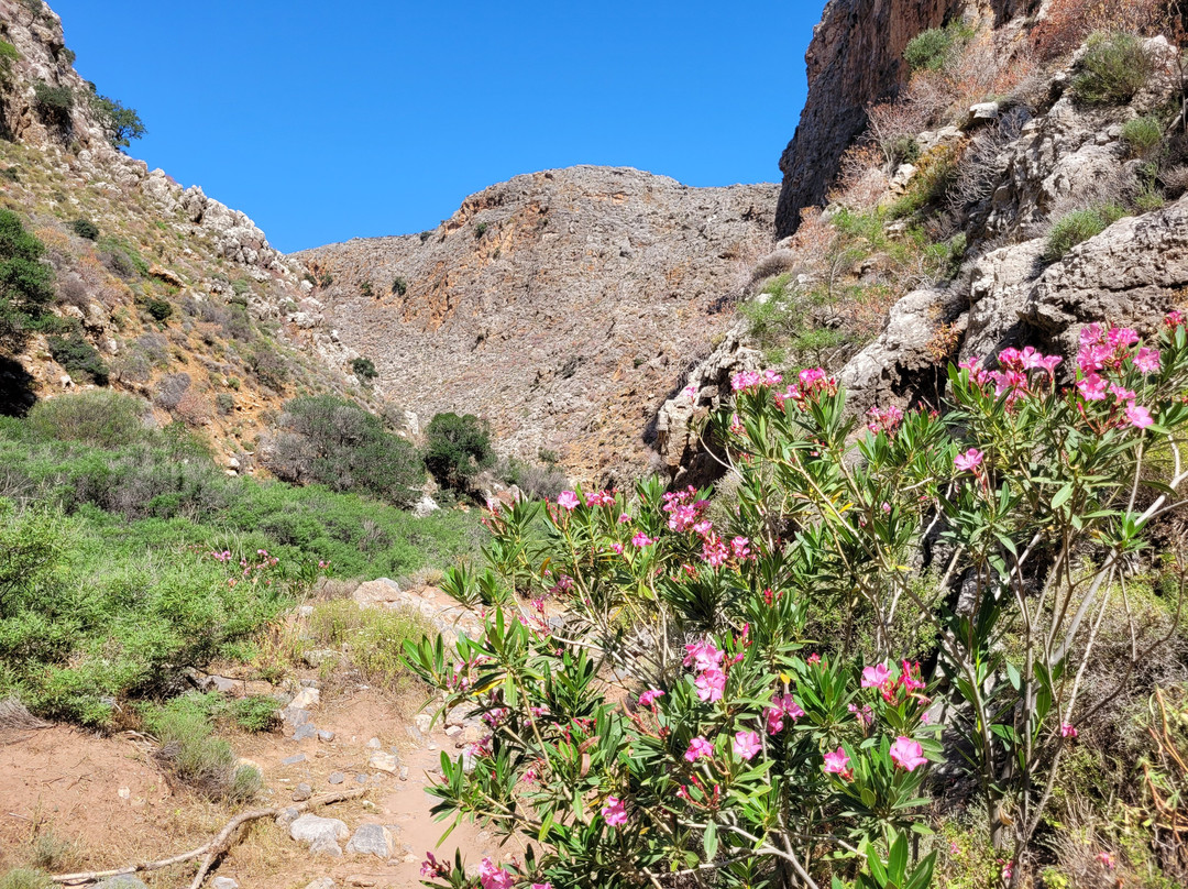 Gorge of the Dead景点图片