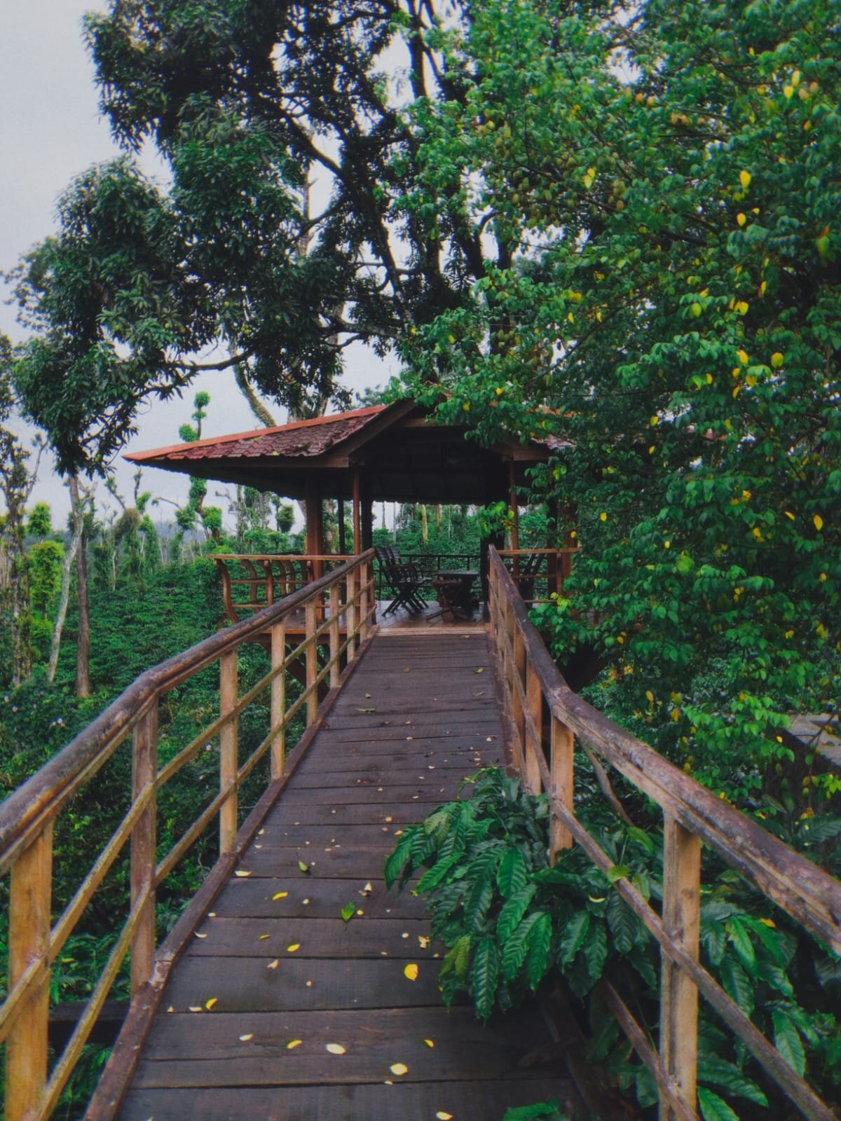 Ibbani Cadu Estate Homestay-官方