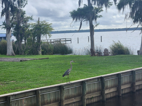 Crescent Fish Camp, RV Resort & Marina | Outdoor Adventure Retreats主图