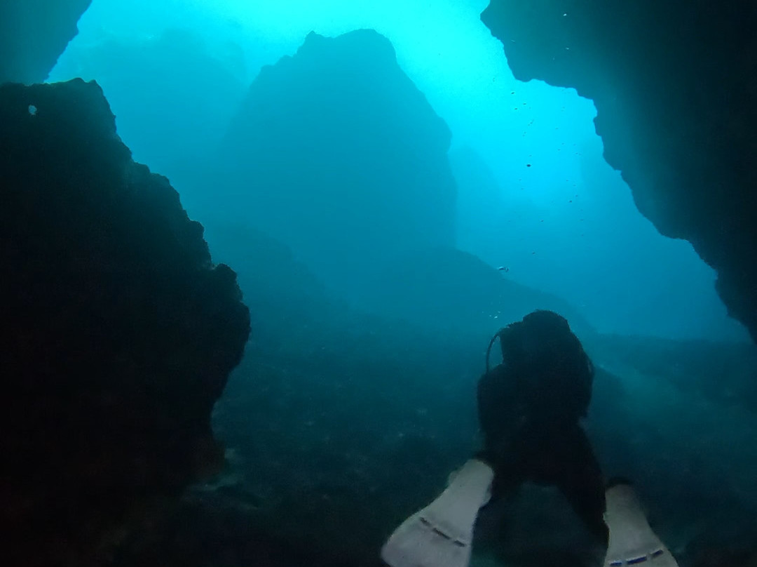 Blue Adventures Diving-干尼亚必去景点