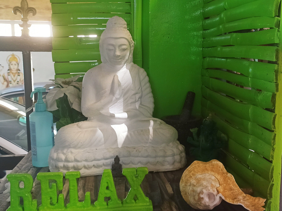 Ved Holistic景点图片