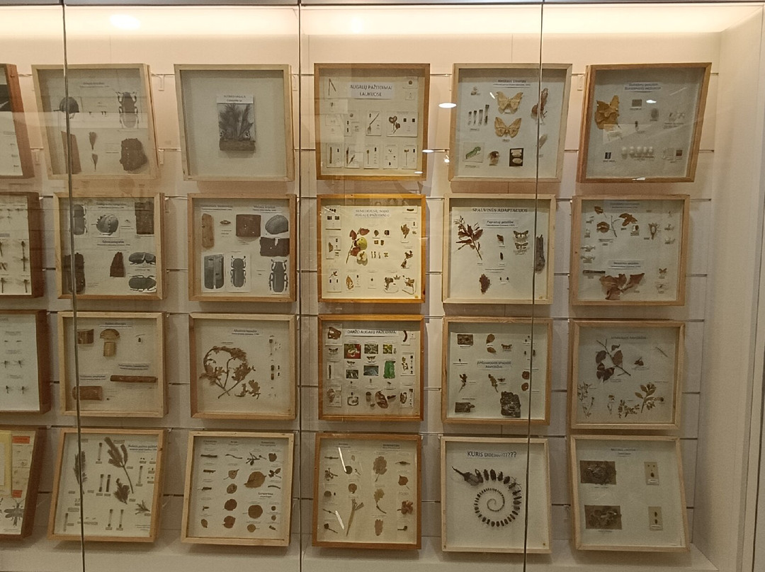 Vilnius University Zoological Museum-维尔纽斯必去景点
