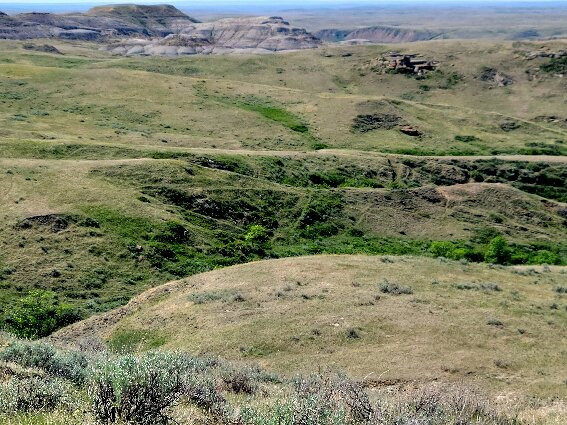 Grasslands National Park-萨斯喀彻温省必去景点