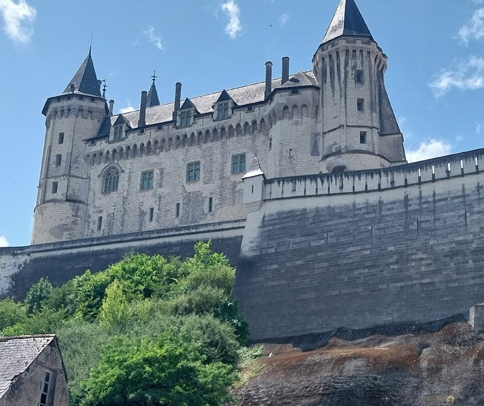 Château-musée De Saumur景点图片
