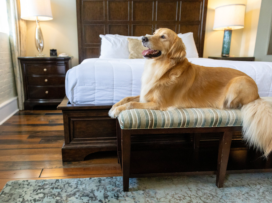 Olde Harbour Inn主图